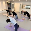 리즈발레무용학원 이미지