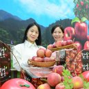 서울원예농협하나로마트