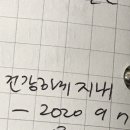 인디고블루 이미지