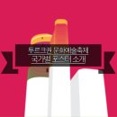 (광주)투르크권 문화예술축제 네이버블로그