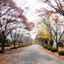 야로면사무소 | 미숭산관광지