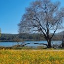 다물공인중개사사무소 이미지