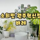 소희핏 | 원주 바레운동 찾는다면? 소희핏PT&amp;필라테스 원주점 바레 수업 솔직 후기