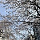 교동택지주유소 이미지