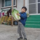 할머니집 이미지