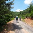 봉수면사무소 이미지