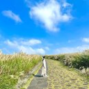 쉴만한강가 | 산굼부리 가을 제주도 아이와 가볼만한곳 소요시간 10월 억새 실시간 후기