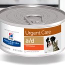 군산24시 제일동물병원 이미지