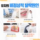 덴탈시그널치과의원 이미지