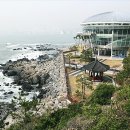동백섬