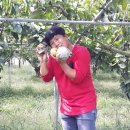 김성환농장 이미지