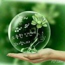 이모가차려주는밥상