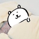 엔트로피 이미지