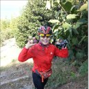 배재고등학교 이미지