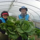 김성수농장 이미지