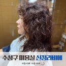 수성구미용실 황금동 심야영업하는 신정라비에 대구 수성점 찰리신원장님 디지털히피펌 후기