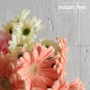 효스테이 이미지