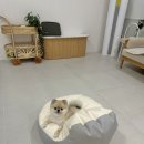 토리푸하우스 이미지