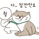 듀티모터스 이미지