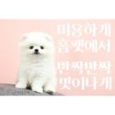예쁜미용 이미지