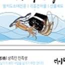 대박건어물 이미지