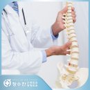 장수찬신경외과의원 이미지