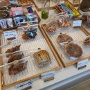 더트렁크 | 인더트렁크(서판교) 아인슈페너 / 투박후기 / 별점, ☆☆☆☆??