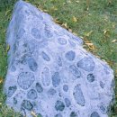 무주읍249 이미지