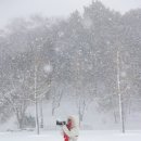 사랑이야기 이미지