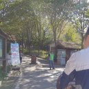 브이플러스진입도로우측면 | [전주] 한국도로공사 수목원, 9개월 아가와 유모차 나들이