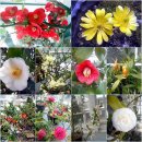 인도로가는길 이미지