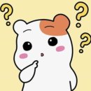 딜라이트짐 이미지