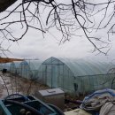 크로바농장 이미지