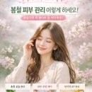 뷰티스스킨