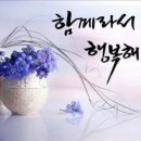 한영김치 이미지