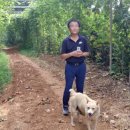 효자농장 이미지