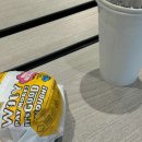 pet66다2024 이미지