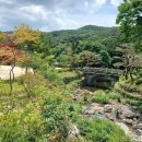 양천초등학교 이미지