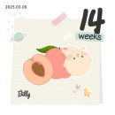 오메가3 복용 시작과 함께 무난히 임신 14주 차도 보냄