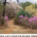 도마치근린공원 이미지