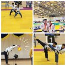 용인대 마루한 태권도 이미지