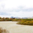 하단동1212 이미지