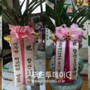 김진수한의원 이미지