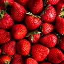 (주)케이에스팜 이미지