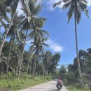 [덕계]여행사진 사람도 풍경이다 | 사진으로 보는 보홀 육상투어 이동 풍경｜도로 상태·차량 이동 환경 솔직 후기