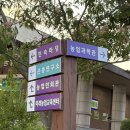 청주 반딧불이 곤충축제 후기ㅣ현장 입장권 가능할까? 현장 배부 위치와 방법 꼭 보고가세요