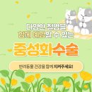 온마음동물병원 네이버블로그
