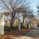 떠도는섬들 이미지