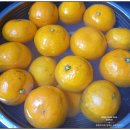 순덕농장 이미지