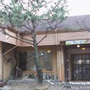 숲속한우 이미지